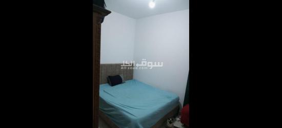 شهادة ملكية فردية - 19