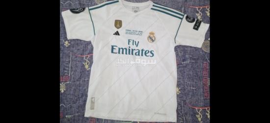 قط جميل للتبني - 2