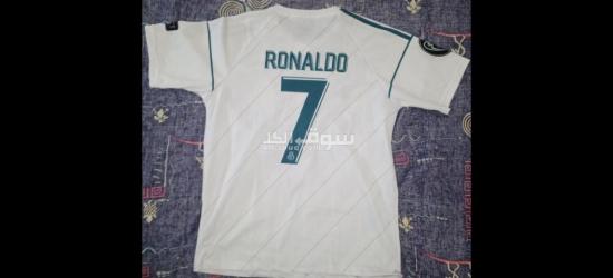 قط جميل للتبني - 3