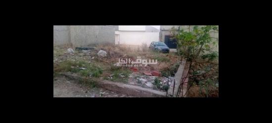 أرض للبيع - 4